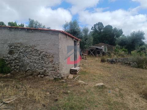 Terreno Rústico