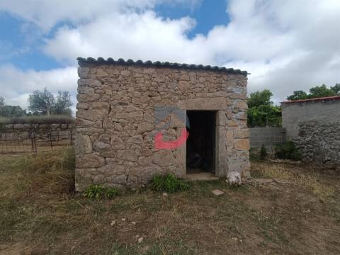Terreno Rústico