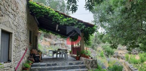 Quinta T3