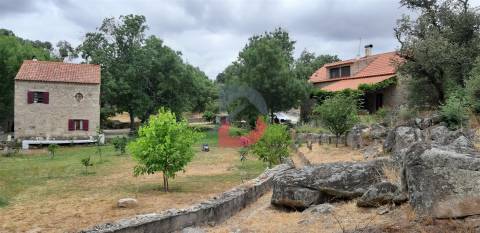 Quinta T3