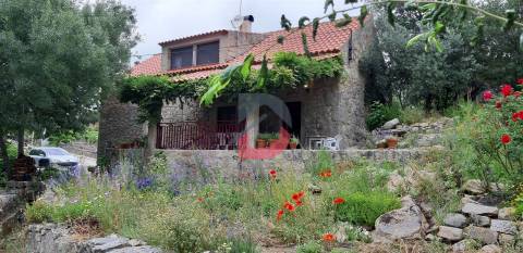Quinta T3