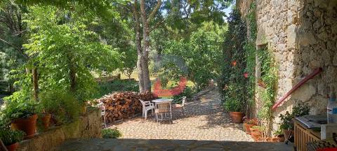 Quinta T3