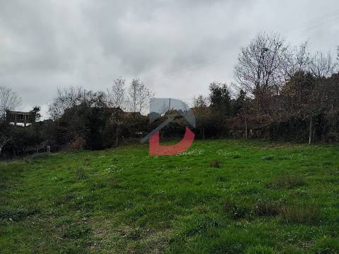 Terreno Rústico  Venda em Fornelos,Cinfães