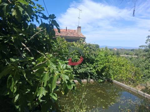 Quinta