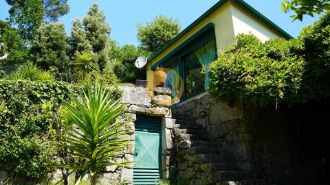 Quinta T5 Venda em Abragão,Penafiel