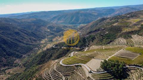 Terreno com 265,77 m² e Casa de Pedra em Ruina perto do Rio Douro