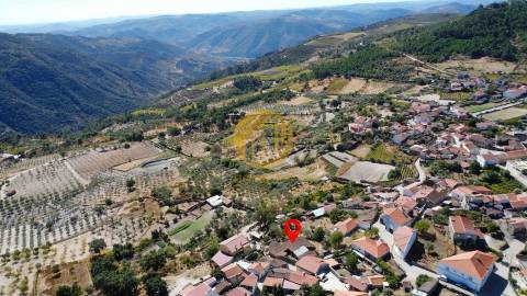 Terreno com 265,77 m² e Casa de Pedra em Ruina perto do Rio Douro