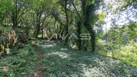 Terreno  Venda em Caldelas, Sequeiros e Paranhos,Amares