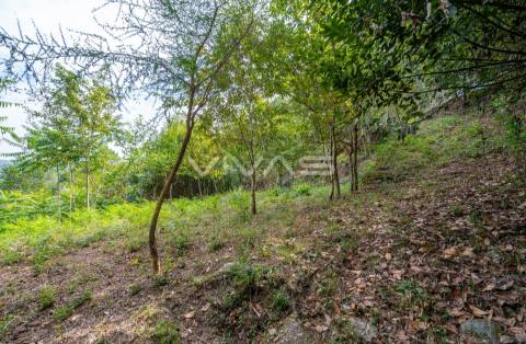 Terreno  Venda em Valbom (São Pedro), Passô e Valbom (São Martinho),Vila Verde