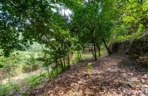Terreno  Venda em Valbom (São Pedro), Passô e Valbom (São Martinho),Vila Verde