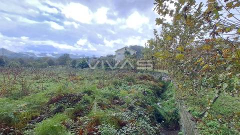 Terreno  Venda em Prado (São Miguel),Vila Verde