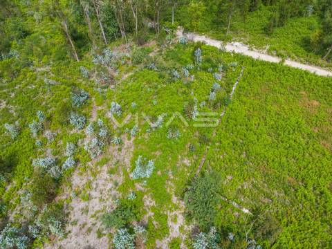 Terreno para construção em Loureira, Vila Verde