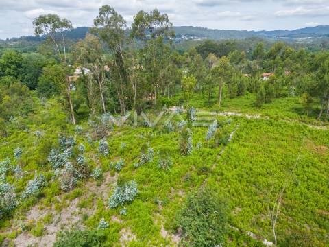 Terreno para construção em Loureira, Vila Verde