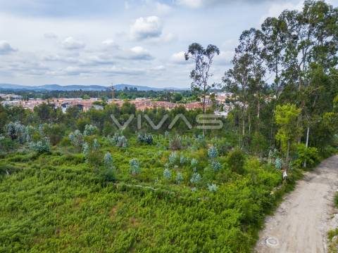 Terreno para construção em Loureira, Vila Verde