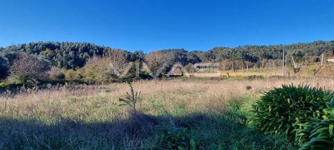 Terreno agrícola em Dossãos, Vila Verde