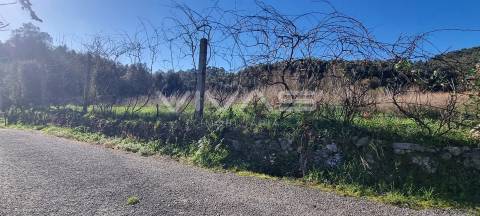 Terreno agrícola em Dossãos, Vila Verde