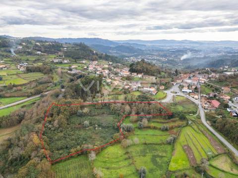 Terreno Rústico  Venda em Vade,Vila Verde