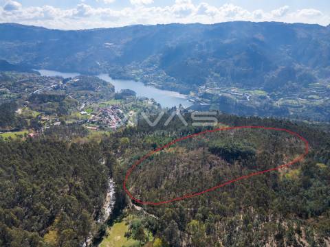 Terreno  Venda em Valdosende,Terras de Bouro