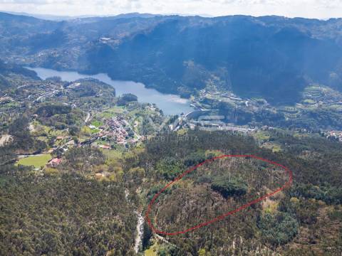 Terreno  Venda em Valdosende,Terras de Bouro