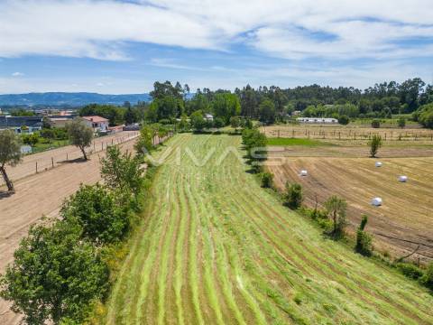 Terreno  Venda em Vila Verde e Barbudo,Vila Verde