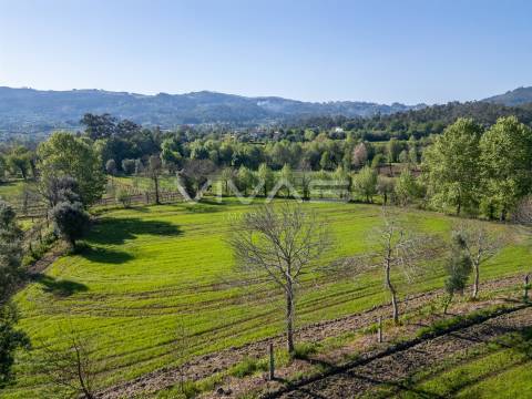Terreno  Venda em Coucieiro,Vila Verde