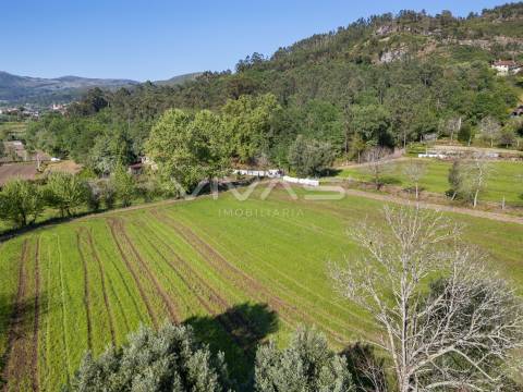 Terreno  Venda em Coucieiro,Vila Verde