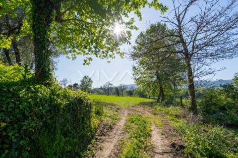 Terreno  Venda em Coucieiro,Vila Verde