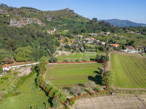 Terreno  Venda em Coucieiro,Vila Verde