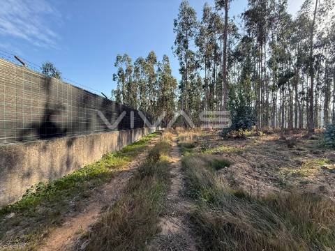 Terreno Rústico  Venda em Associação de freguesias do Vale do Neiva,Ponte de Lima