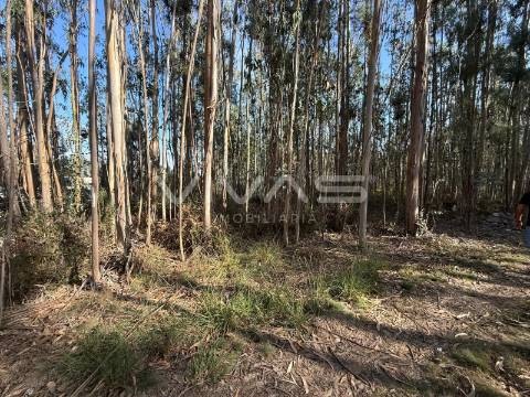 Terreno Rústico  Venda em Associação de freguesias do Vale do Neiva,Ponte de Lima