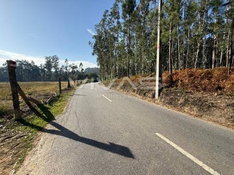Terreno Rústico  Venda em Associação de freguesias do Vale do Neiva,Ponte de Lima
