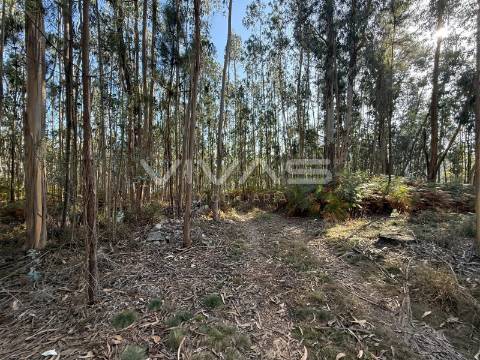 Terreno Rústico  Venda em Associação de freguesias do Vale do Neiva,Ponte de Lima