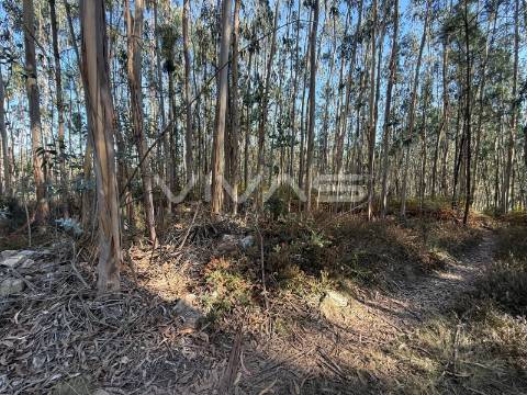 Terreno Rústico  Venda em Associação de freguesias do Vale do Neiva,Ponte de Lima