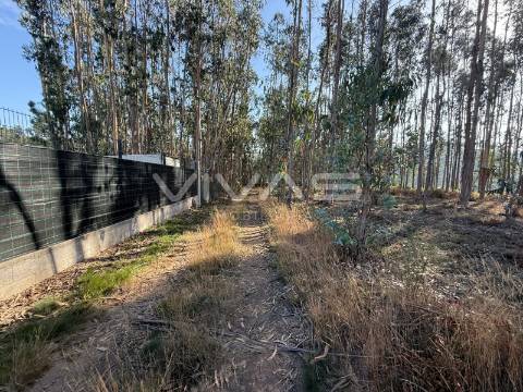 Terreno Rústico  Venda em Associação de freguesias do Vale do Neiva,Ponte de Lima