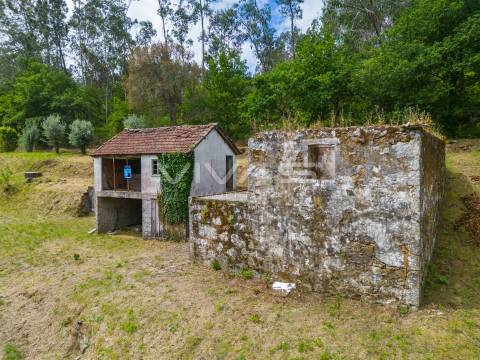 Moradia para Restaurar T0 Venda em Ribeira do Neiva,Vila Verde