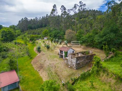 Moradia para Restaurar T0 Venda em Ribeira do Neiva,Vila Verde