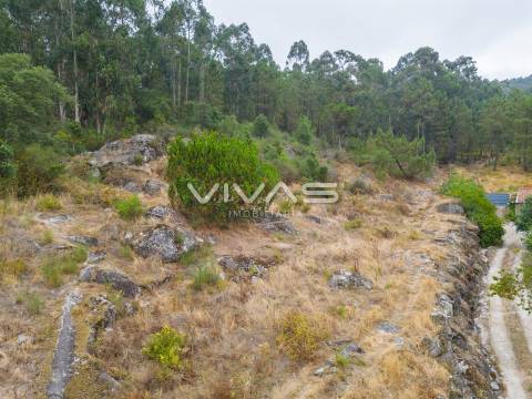 Terreno Para Construção  Venda em Roriz,Barcelos
