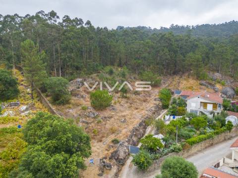 Terreno Para Construção  Venda em Roriz,Barcelos