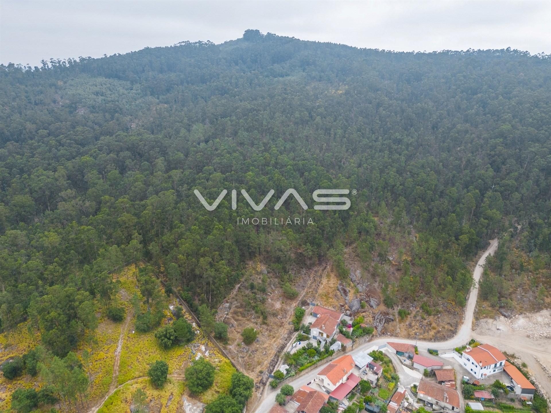Terreno Para Construção  Venda em Roriz,Barcelos