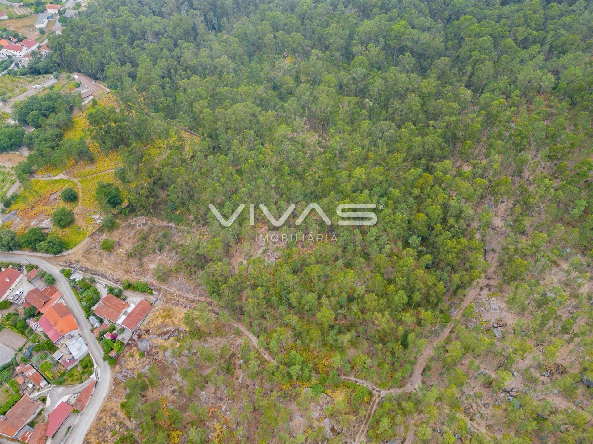 Terreno Para Construção  Venda em Roriz,Barcelos