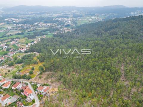 Terreno Para Construção  Venda em Roriz,Barcelos