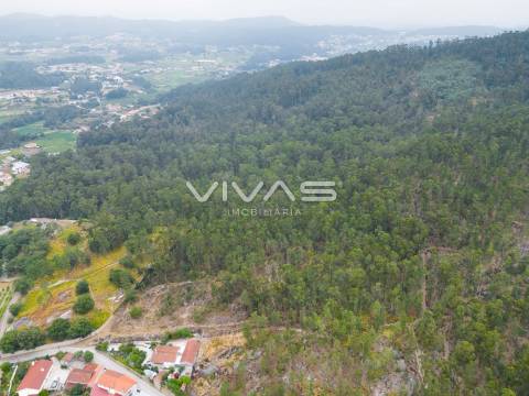 Terreno Para Construção  Venda em Roriz,Barcelos
