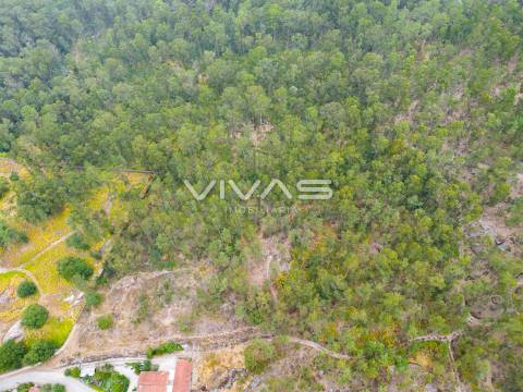 Terreno Para Construção  Venda em Roriz,Barcelos