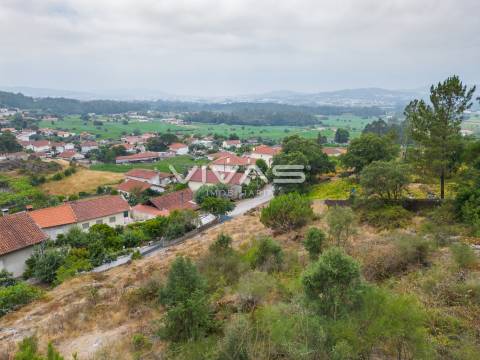 Terreno Para Construção  Venda em Roriz,Barcelos