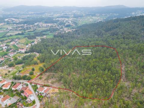 Terreno Para Construção  Venda em Roriz,Barcelos