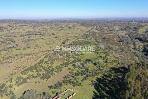 Terreno Misto  Venda em Ourique,Ourique