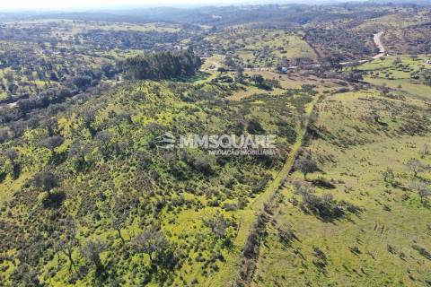 Terreno Misto  Venda em Ourique,Ourique