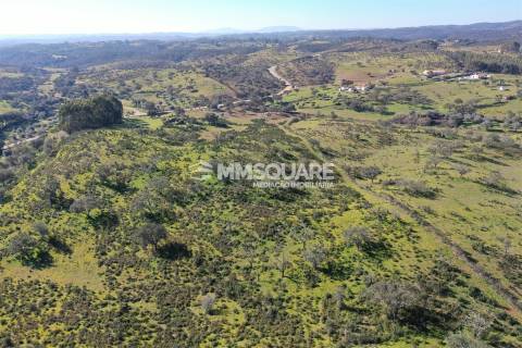 Terreno Misto  Venda em Ourique,Ourique