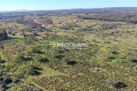 Terreno Misto  Venda em Ourique,Ourique