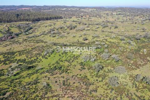 Terreno Misto  Venda em Ourique,Ourique